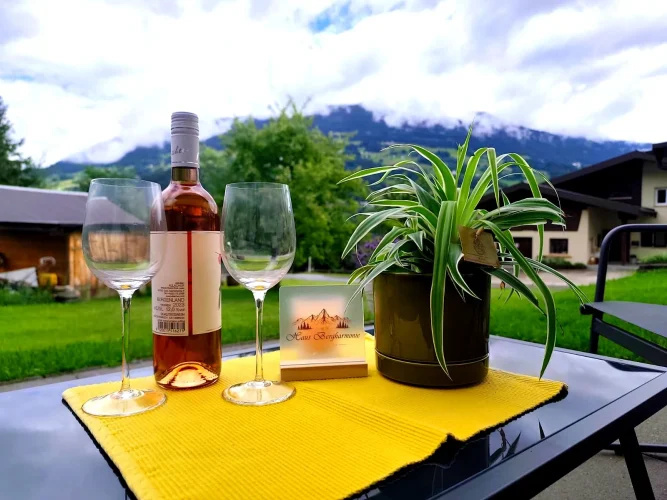 garten-tisch-bergblick-haus-bergharmonie-tschagguns-montafon-02